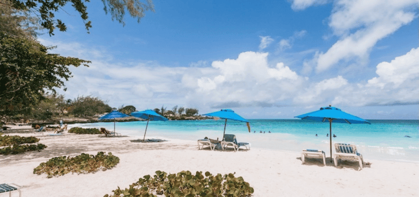 Expedia tropical beach scene with blue umbrellas Purpl disabled discounts members save on holiday bookings and travel deals