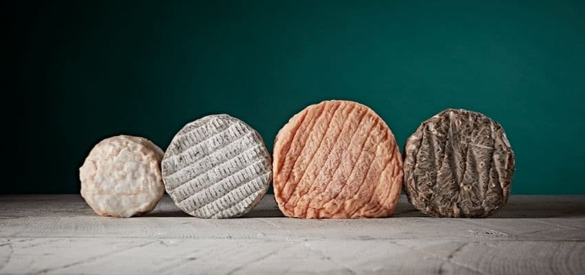Four artisan cheeses on a table; Purpl discounts for disabilities and long term health conditions, including shopping discounts for disabled people.