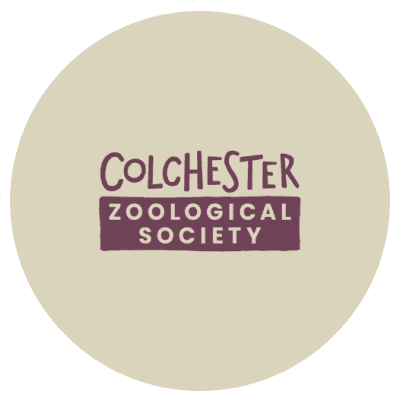 Colchester Zoo