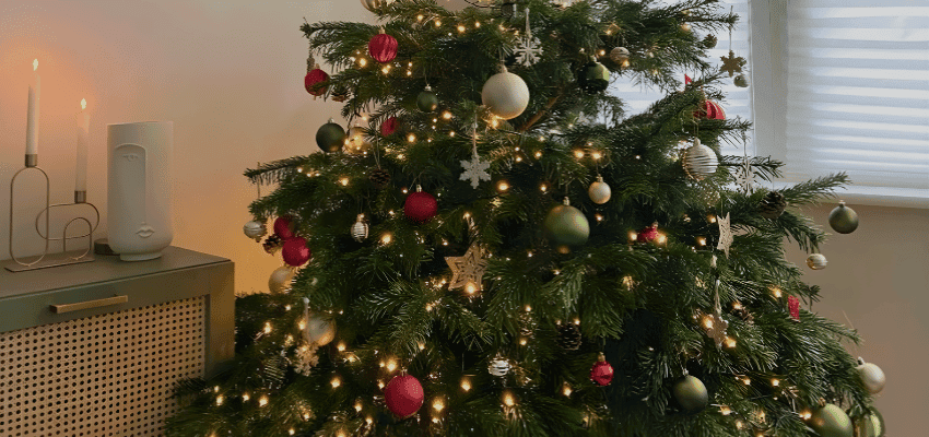 Christmas tree decorated with lights and baubles Purpl disabled discounts members save on real christmas trees and festive home decor