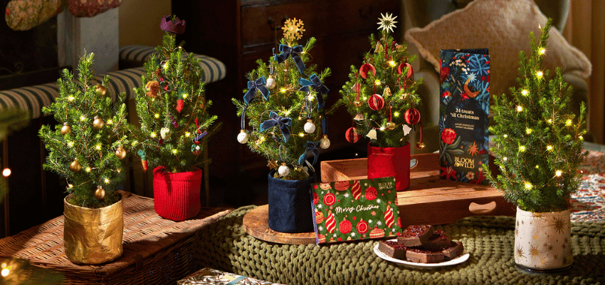 Small decorated Christmas trees from Bloom & Wild arranged on a cosy table, promoting Bloom & Wild Christmas gifts with disability discount offers, ideal for accessible gifting inspiration and seasonal savings for disabled people in the UK.