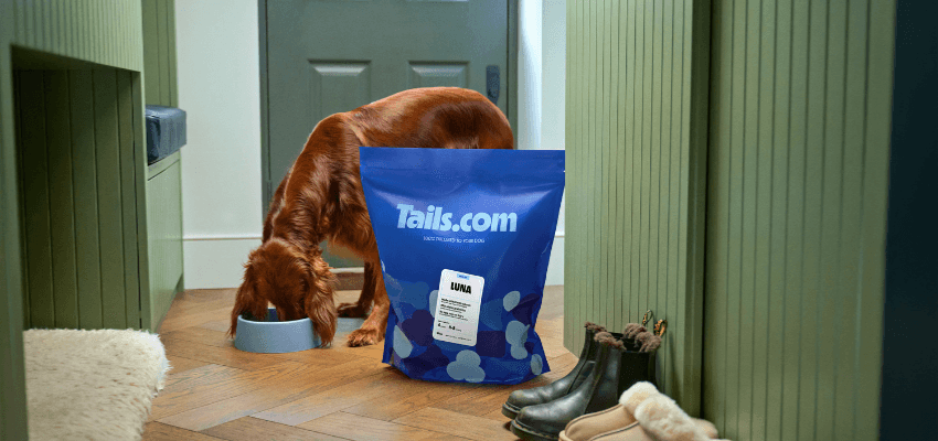 Dog eating from bowl beside Tails.com bag, Purpl discounts for disabilities and long term health conditions, shopping discounts for disabled people.