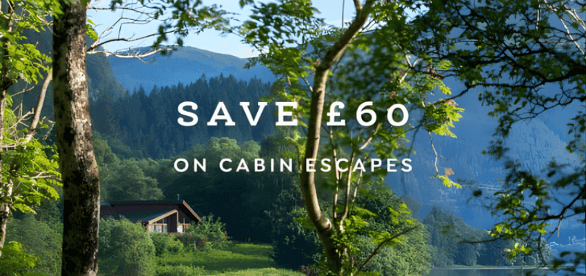 Forest cabin and mountain view promo, Forest Holidays, Purpl discounts for disabilities and long term health conditions, disabled travel discounts UK.
