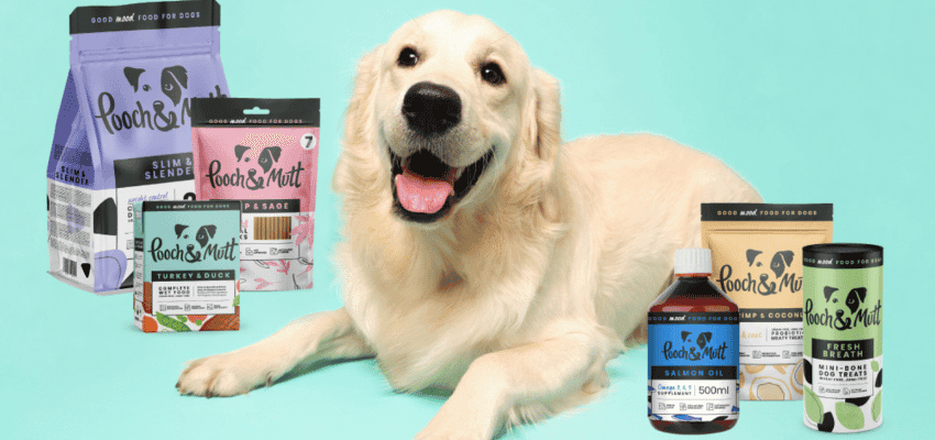 Golden Retriever dog lying happily with Pooch & Mutt dog food, salmon oil, and treats – premium healthy dog food and supplements.