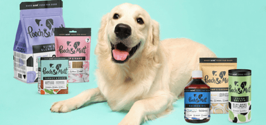 Golden Retriever dog lying happily with Pooch & Mutt dog food, salmon oil, and treats – premium healthy dog food and supplements.