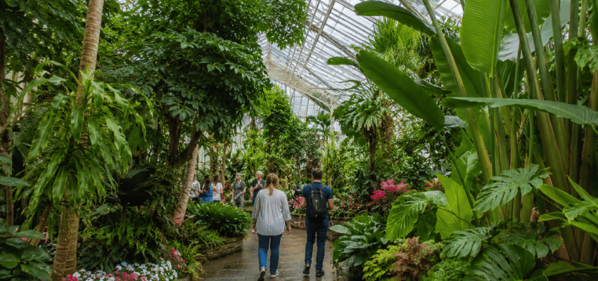 Visitors walking through Kew Gardens greenhouse, Purpl discounts for disabilities and long term health conditions, shopping discounts for disabled people.