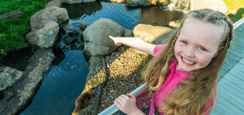 Child pointing at pond rocks at Sea Life Hunstanton, family day out attraction, disability discount savings UK.