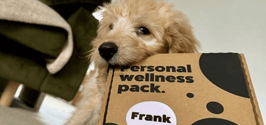 A fluffy dog holding a personalised Itch Pets wellness pack labelled Frank, promoting convenient pet health products for people with disabilities and long term health conditions using Purpl discounts to manage everyday costs.