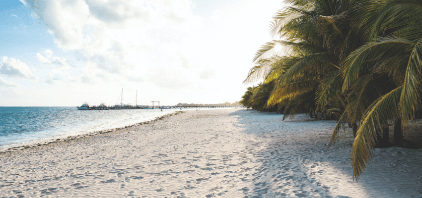 Sunny beach with white sand, palm trees and calm sea near a wooden pier Purpl discounts disabled travel discounts UK accessibility discounts UK savings for people with long-term health conditions cost-of-living help for disabled people