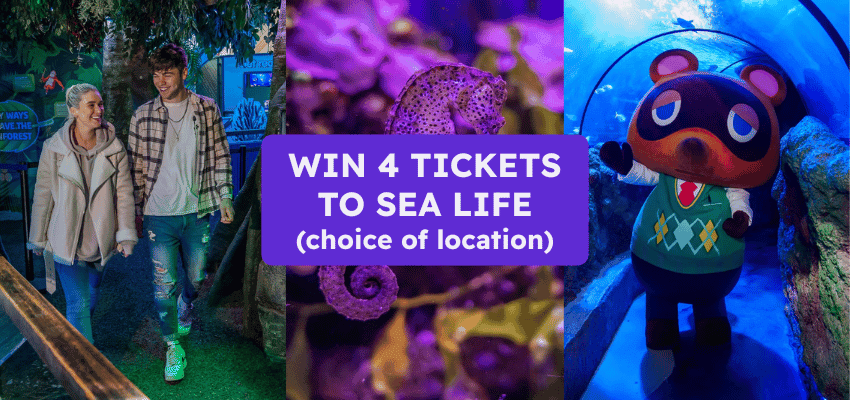 People walking and aquarium scenes, Sea Life London Aquarium, Purpl discounts for disabilities and long term health conditions, disabled travel discounts UK.