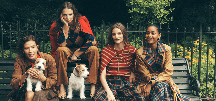 Four women with two dogs on a park bench, Boden Purpl discounts for disabilities and long term health conditions, mobility discounts and offers.
