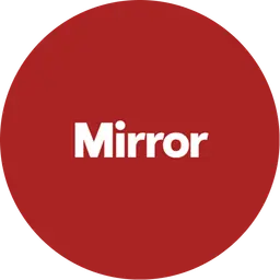 Mirror logo