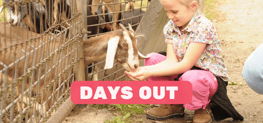 Young girl feeding a goat at a farm park, smiling while enjoying a family day out. Promotes Purpl’s Days Out discounts for disabled people, featuring accessible attractions and inclusive family experiences across the UK.
